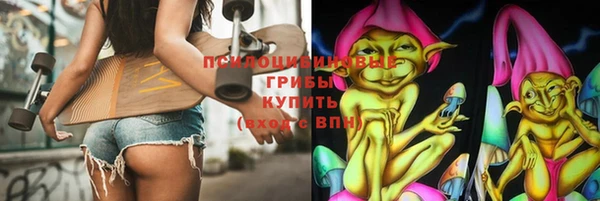 spice Дмитровск