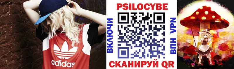 Купить где  Славск  Галлюциногенные грибы MAGIC MUSHROOMS 